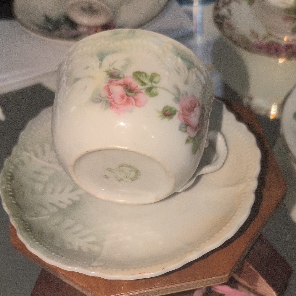 Germany Floral Teacup and Saucer Set